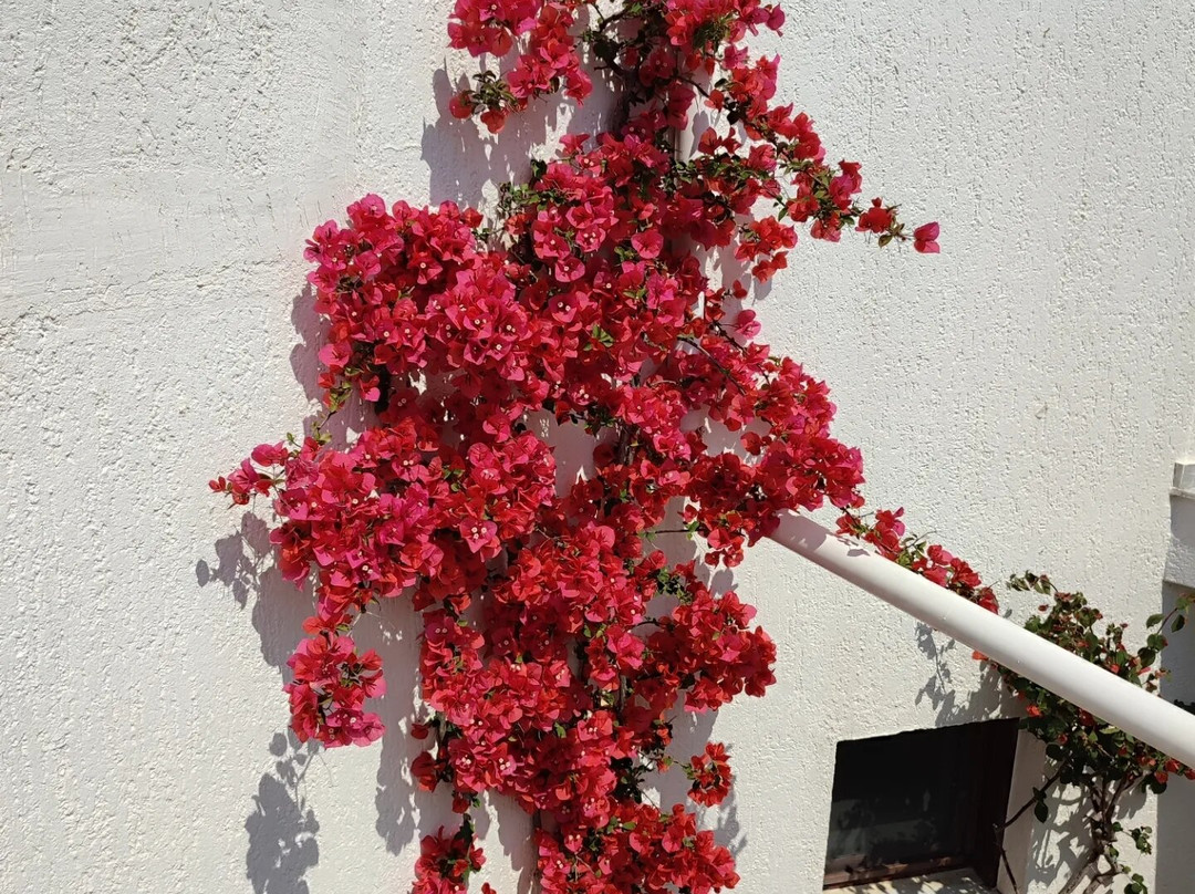 Kalidon Beach Hotel主图