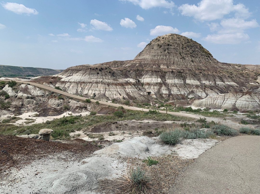 Bikes and Bites-德兰赫勒必去景点