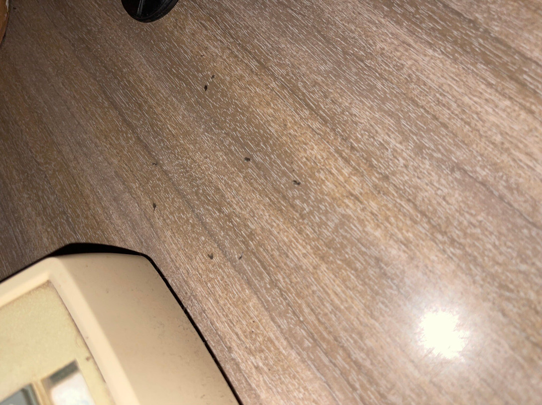 Broadus Motels主图