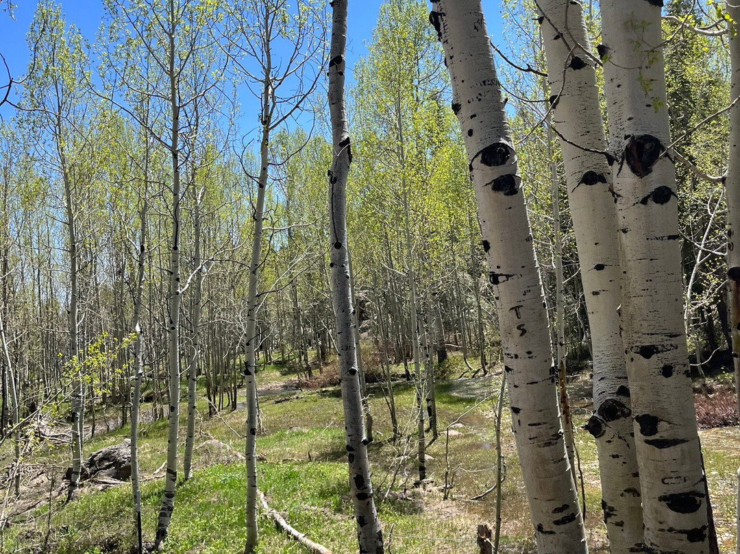 Kolob Terrace Road-锡安国家公园必去景点