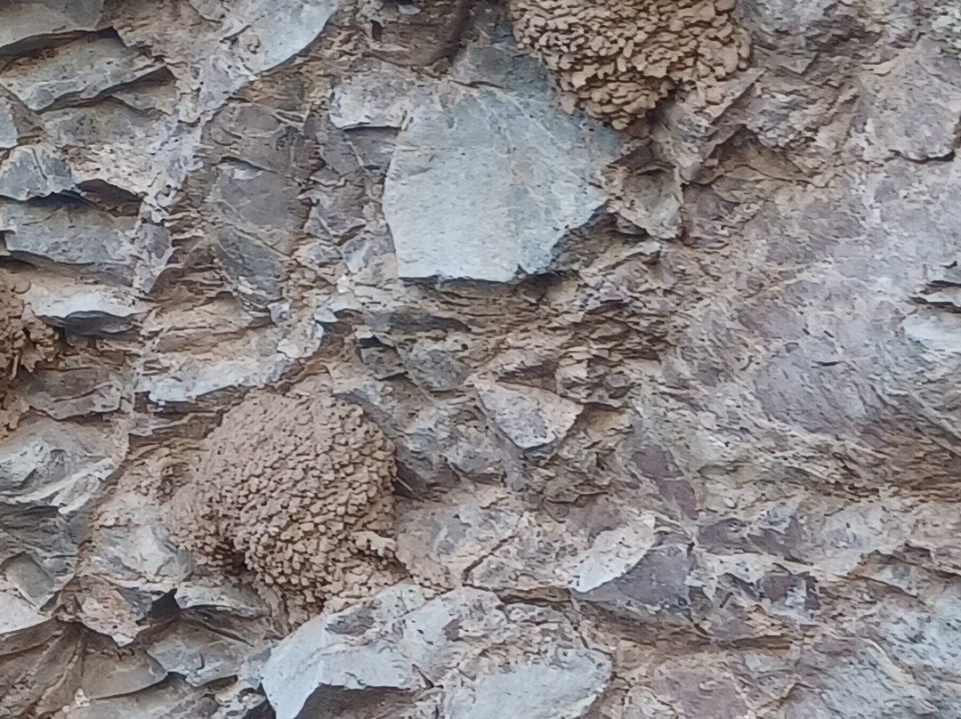 Desert Breeze Kayaking Tours-凤凰城必去景点