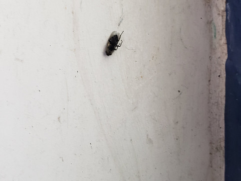 Super 8 by Wyndham Rahway/Newark主图