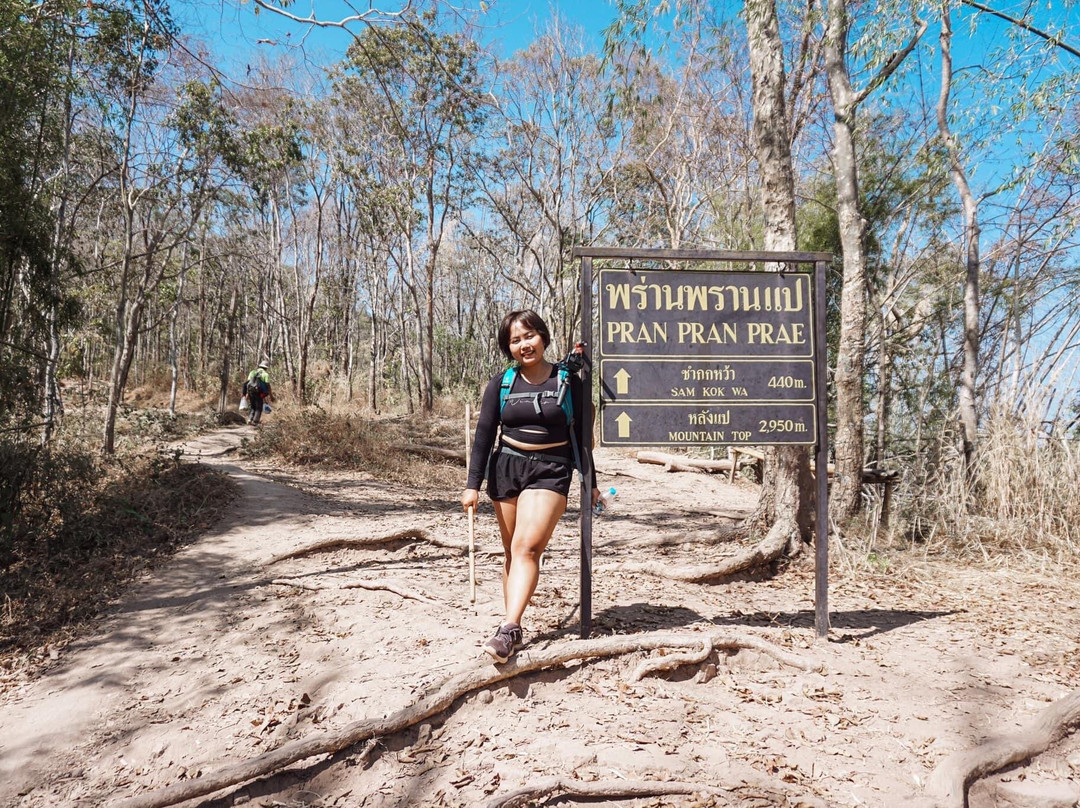 Phu Kradueng National Park景点图片