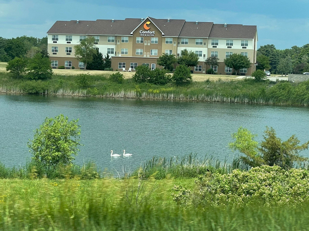 Comfort Inn & Suites Independence主图