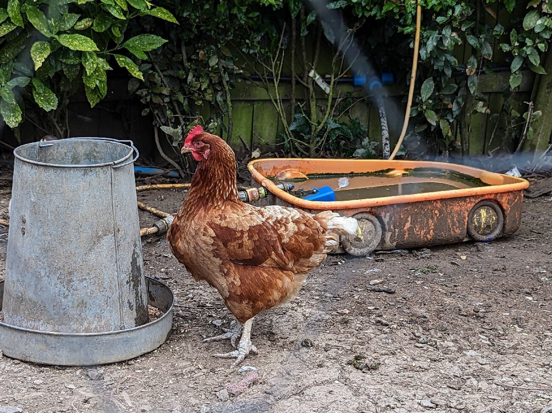 Gatcombe Park Farm Glamping