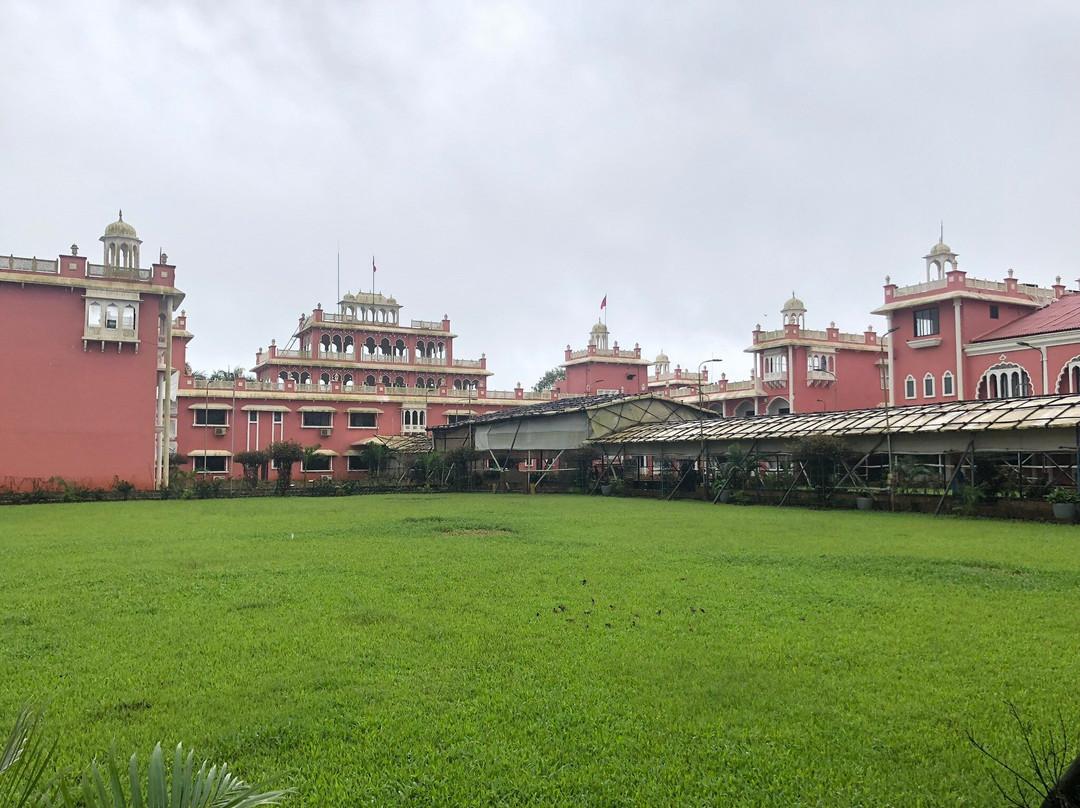 Shree Narayani Dham Temple景点图片