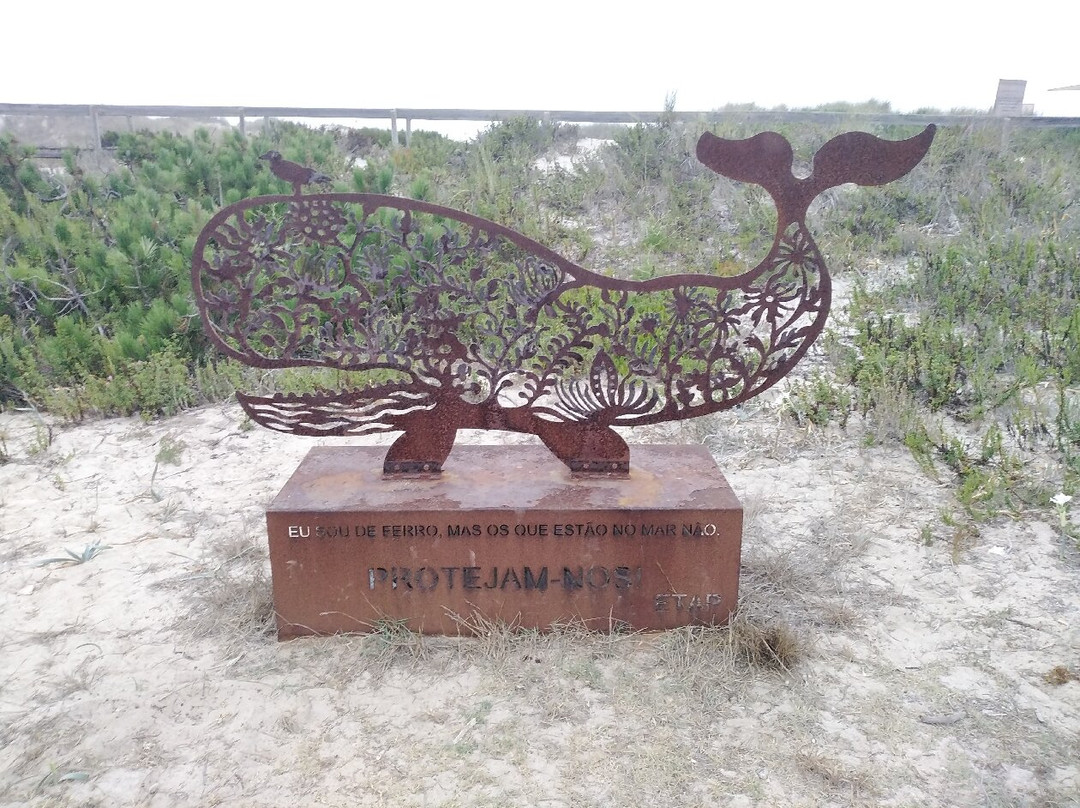 Osso da Baleia Beach景点图片