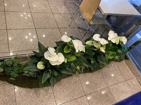 五条乌丸东横Inn酒店主图