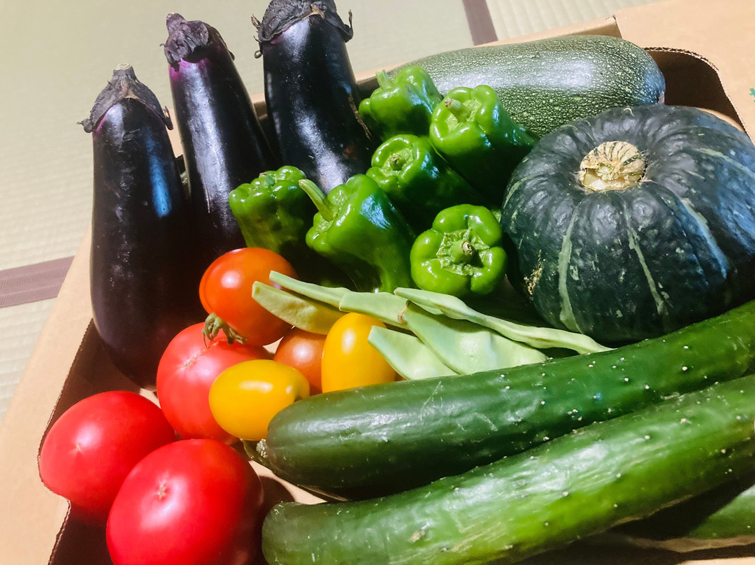 Ryokan Ichikawa主图