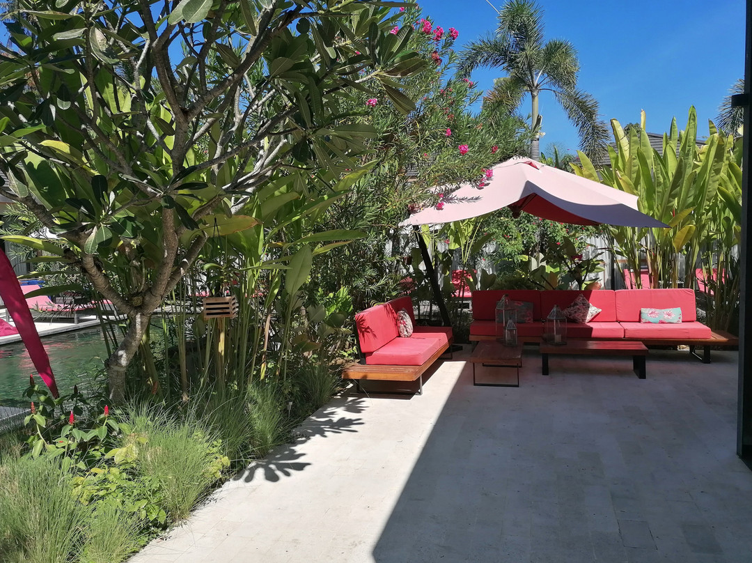 Le Chien Rouge主图