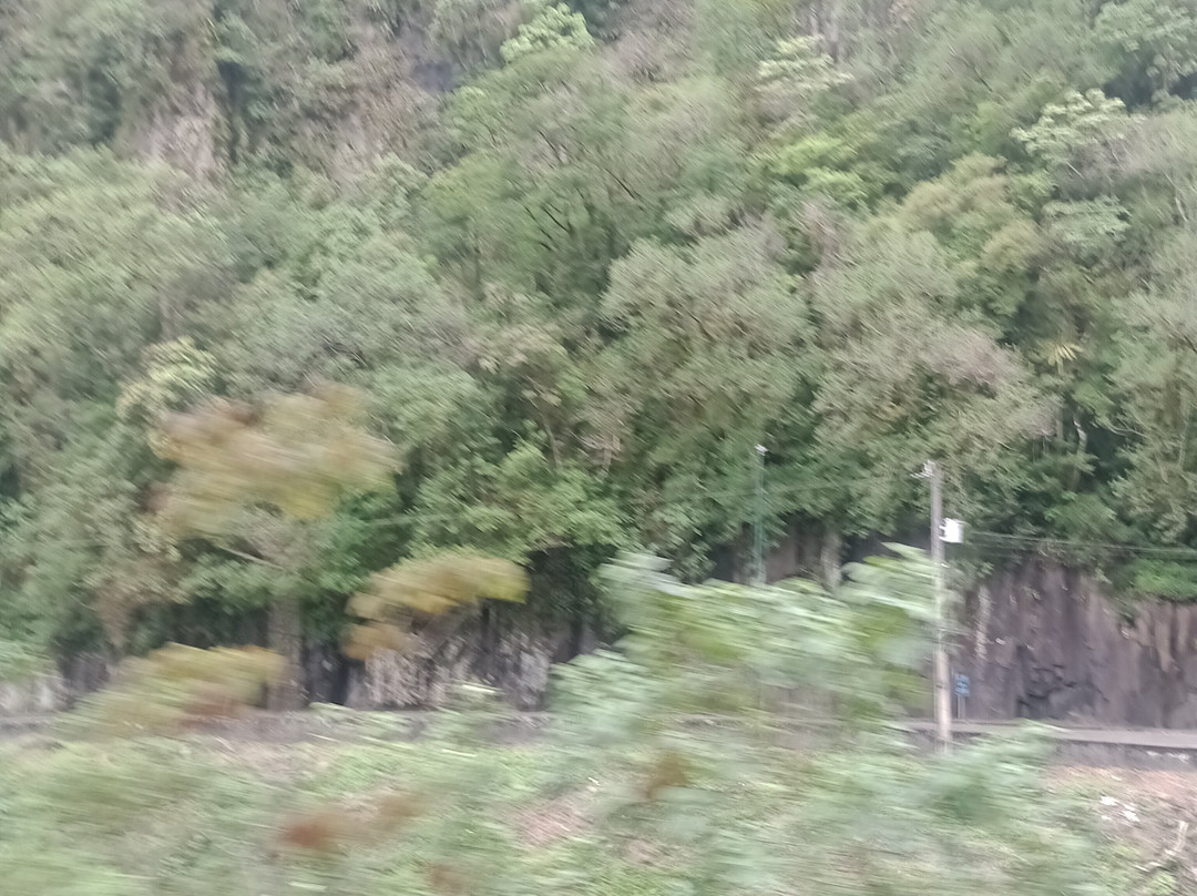 Pousada Flor de Tuna主图