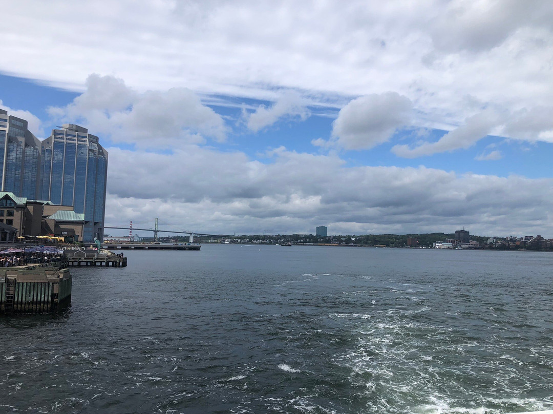 Halifax Harbour Ferry景点图片