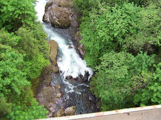 Bungee Masters景点图片