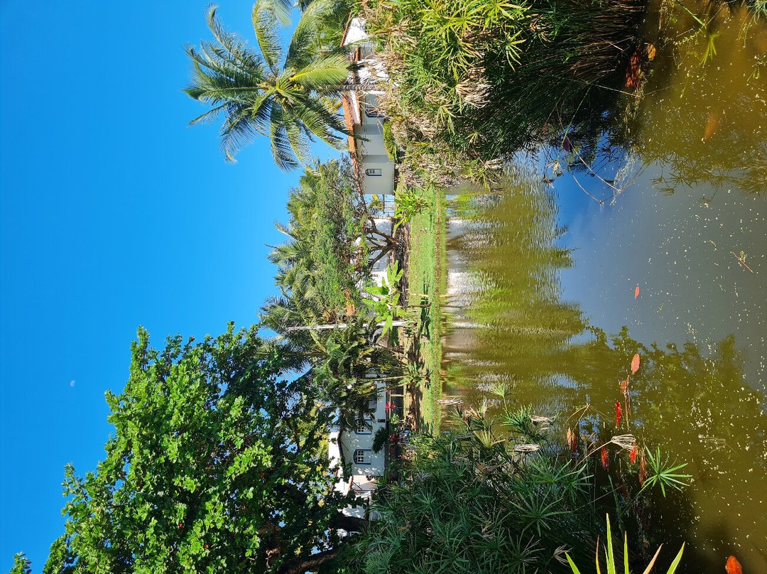 Alma Tropical Resort主图