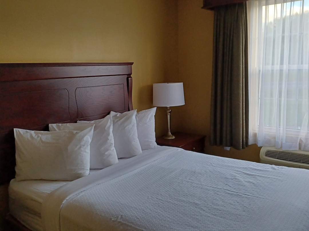 Best Western Plus Grand-Sault Hotel & Suites主图