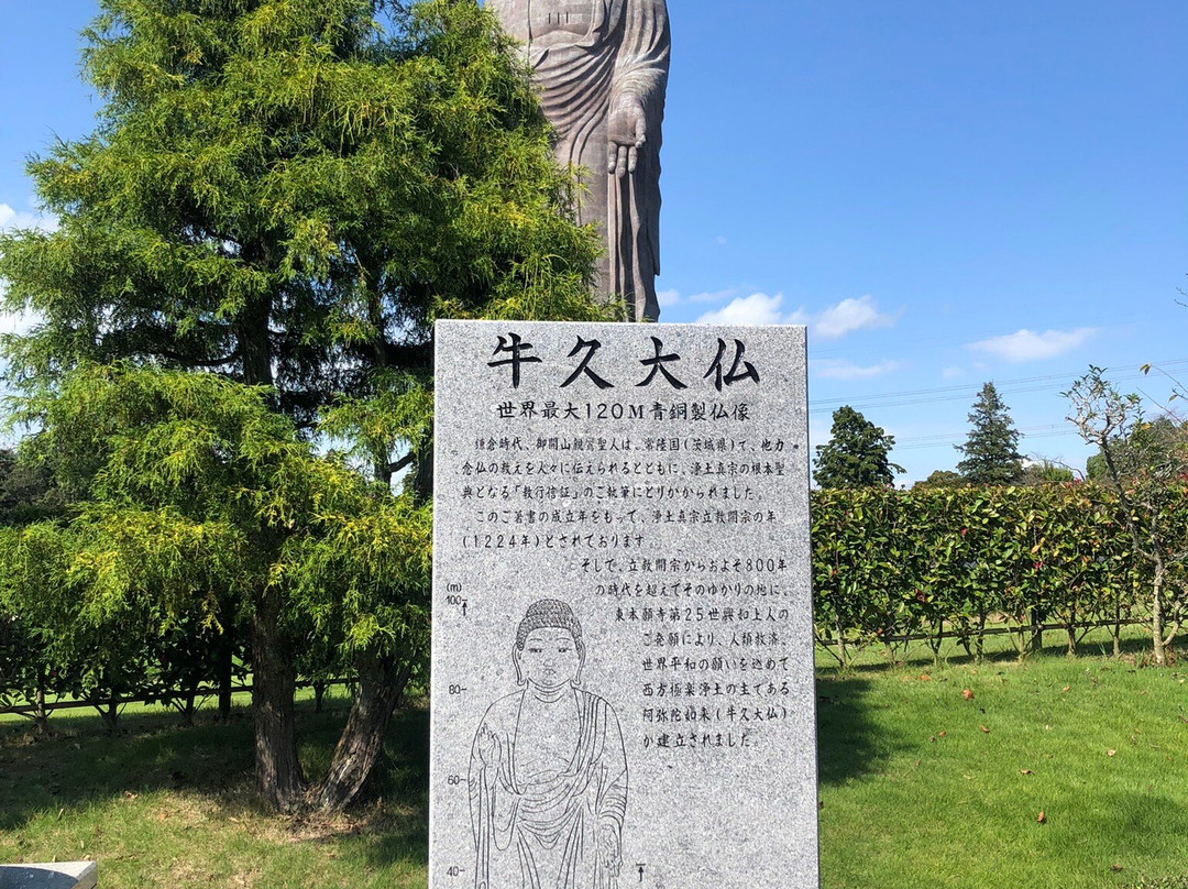 Ushiku Daibutsu-牛久市必去景点