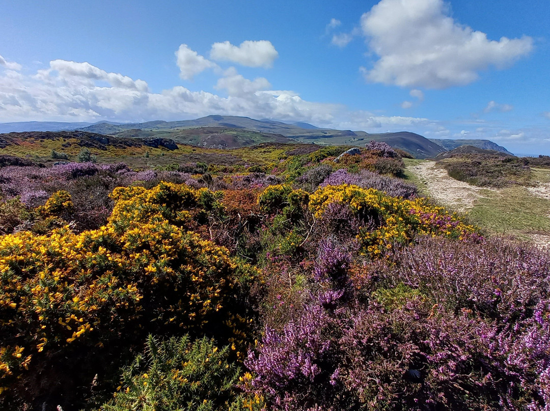Conwy Mountain景点图片