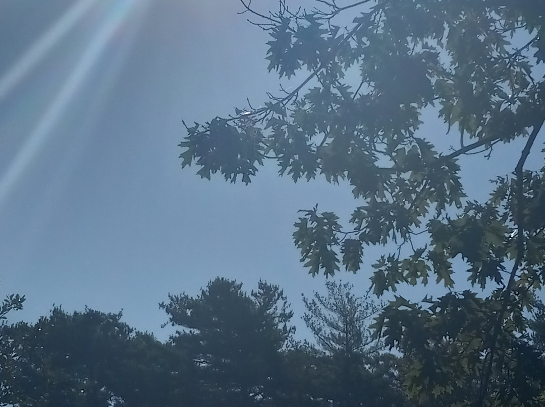 Slater Memorial Park-Pawtucket必去景点