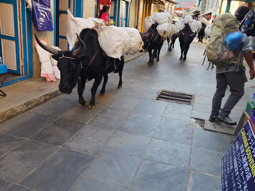 Glory Himalayan Club-加德满都必去景点