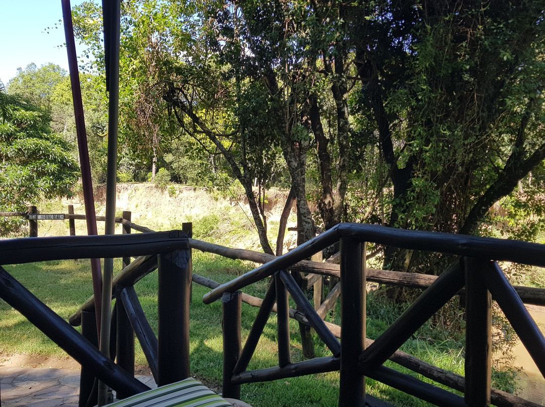 费尔蒙马拉野生动物俱乐部酒店主图