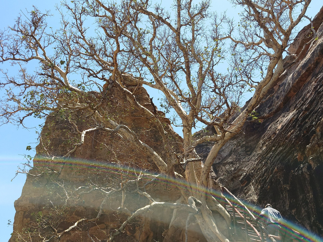 马蓬古布韦文化景观-Mapungubwe National Park必去景点