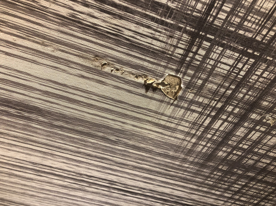 Le Méridien Goa, Calangute主图