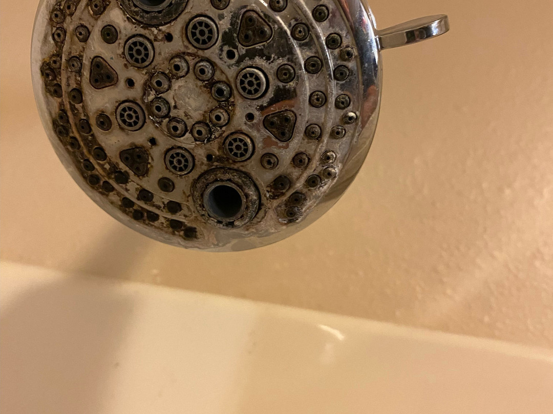 Super 8 by Wyndham Dodgeville主图