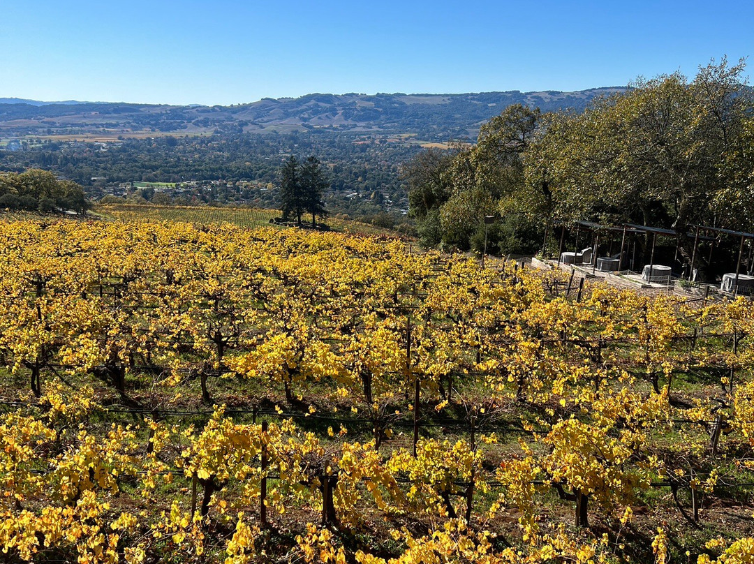 Hanzell Vineyards-索诺玛必去景点