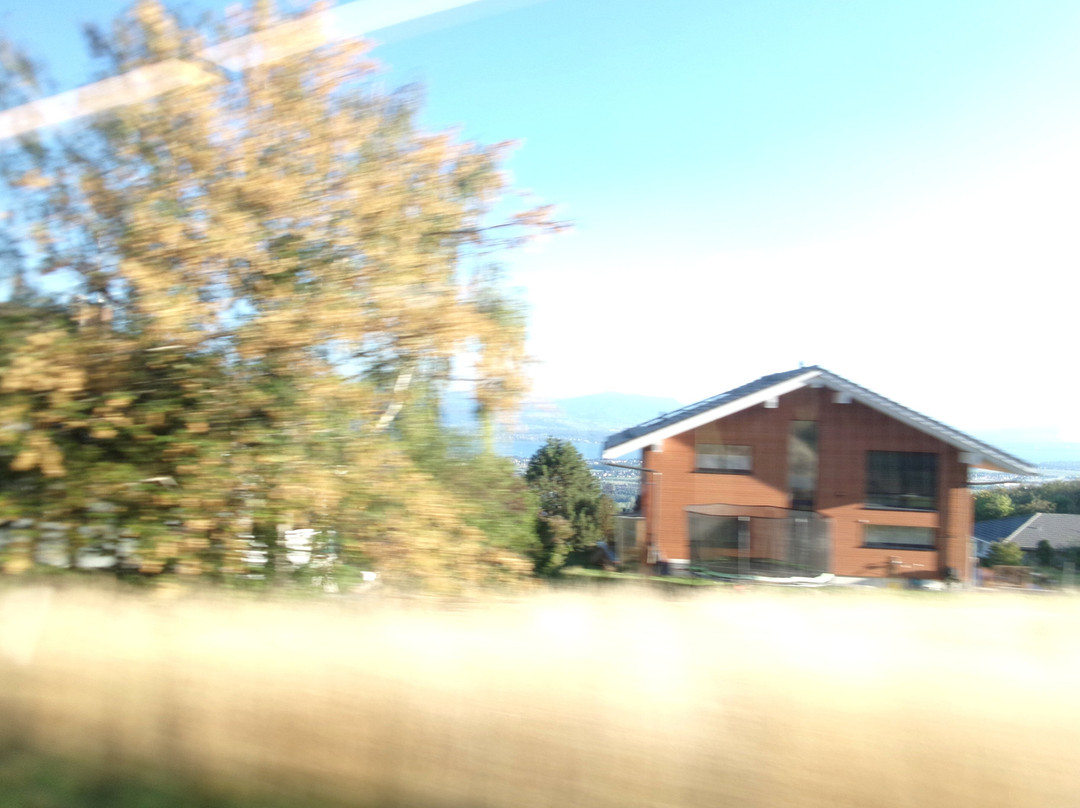 Nyon St-Cergue La Cure Railway-尼永必去景点