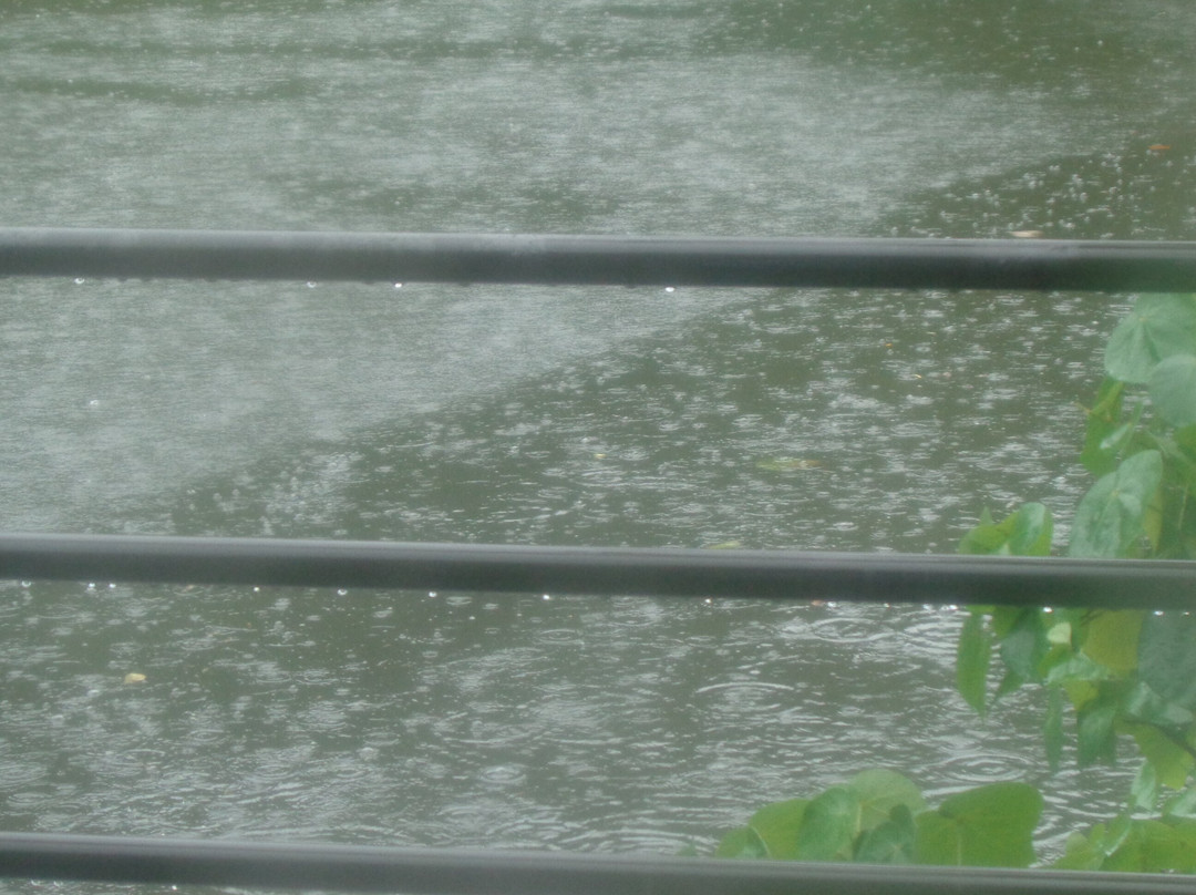 Yatsuse River-小笠原村必去景点