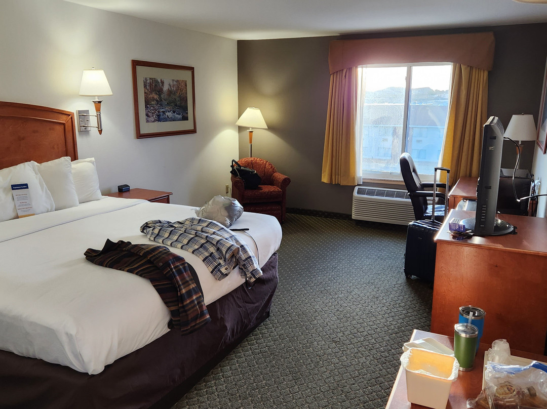 Comfort Inn & Suites主图