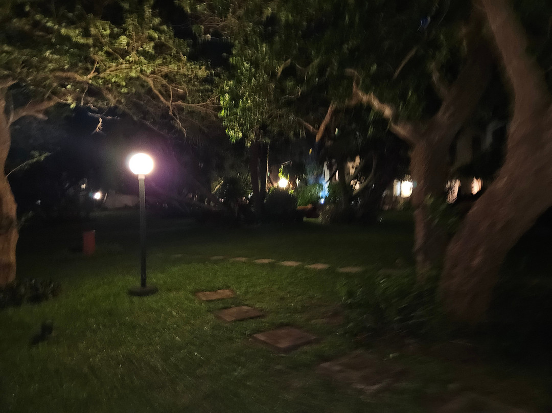 Peter Pan Place主图