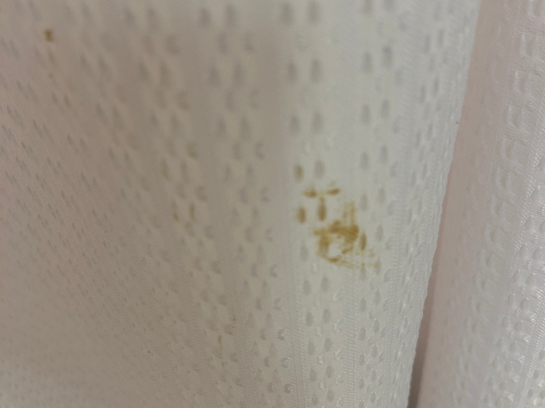 SpringHill Suites by Marriott St. Louis Airport/Earth City主图