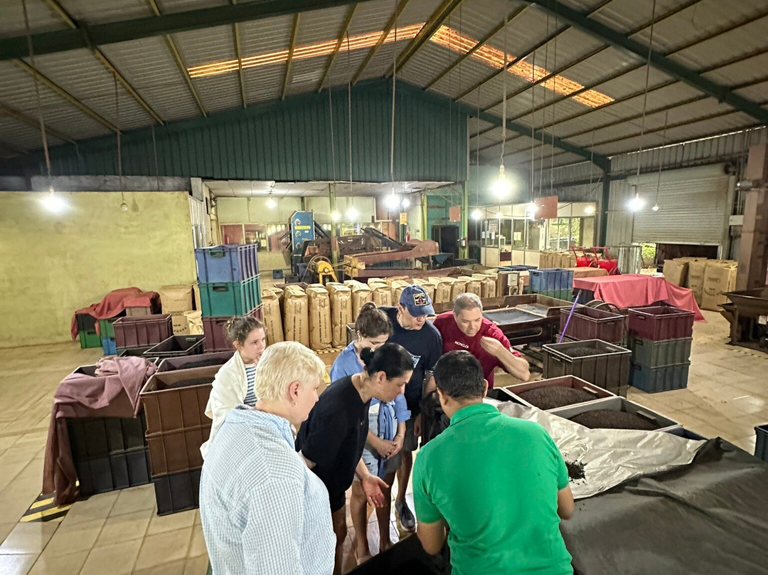 Nandana Tea Factory景点图片