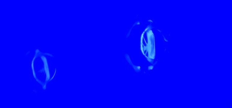 Kona Style-凯鲁瓦-柯纳必去景点