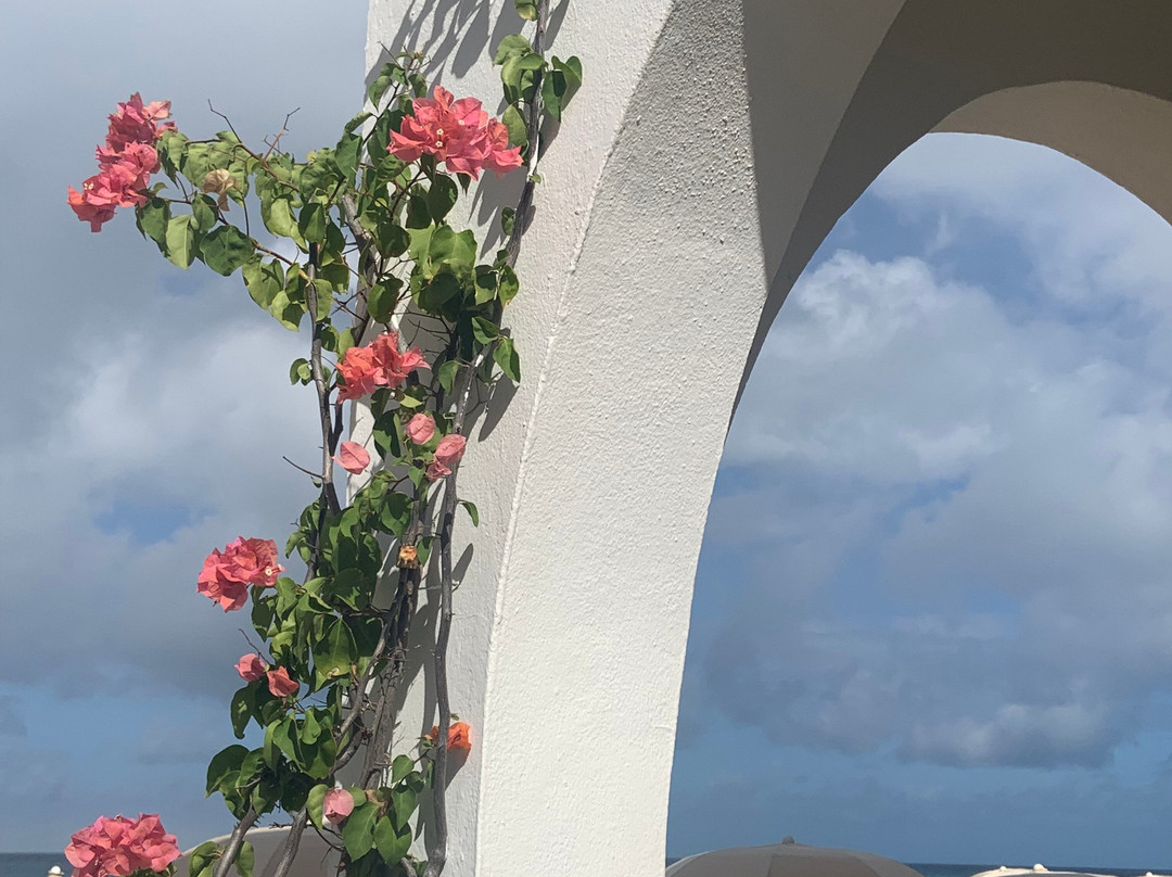 Carimar Beach Club主图