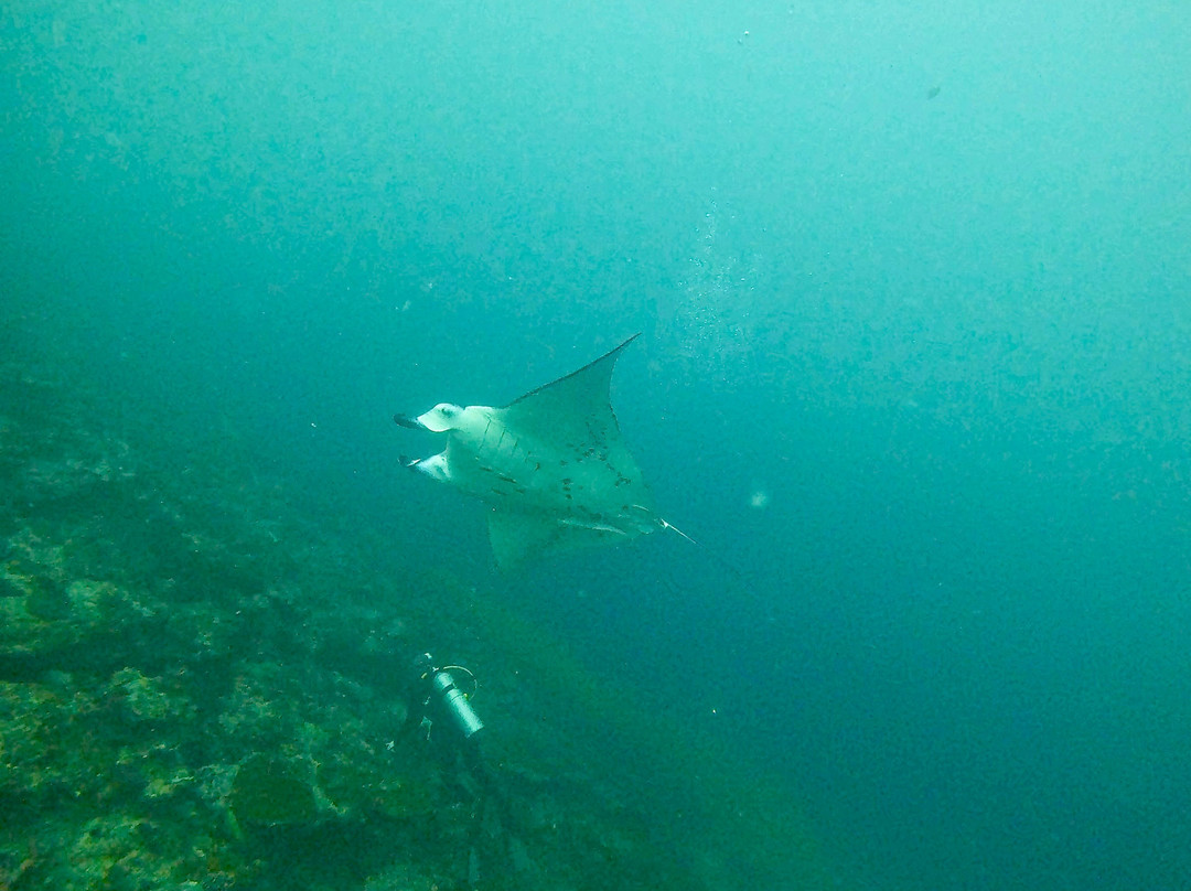 Sous l'Ocean-马尔代夫必去景点