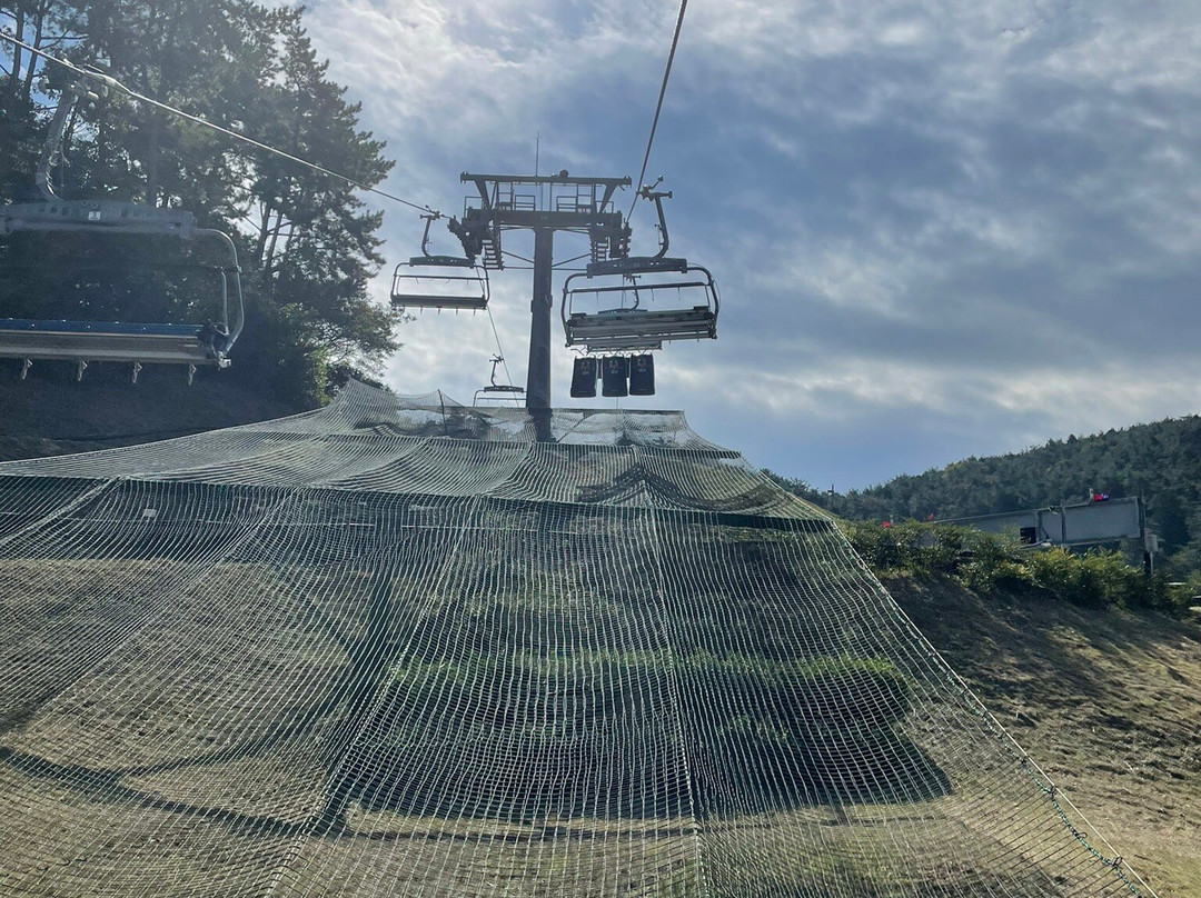 Skyline Luge Tongyeong-统营市必去景点