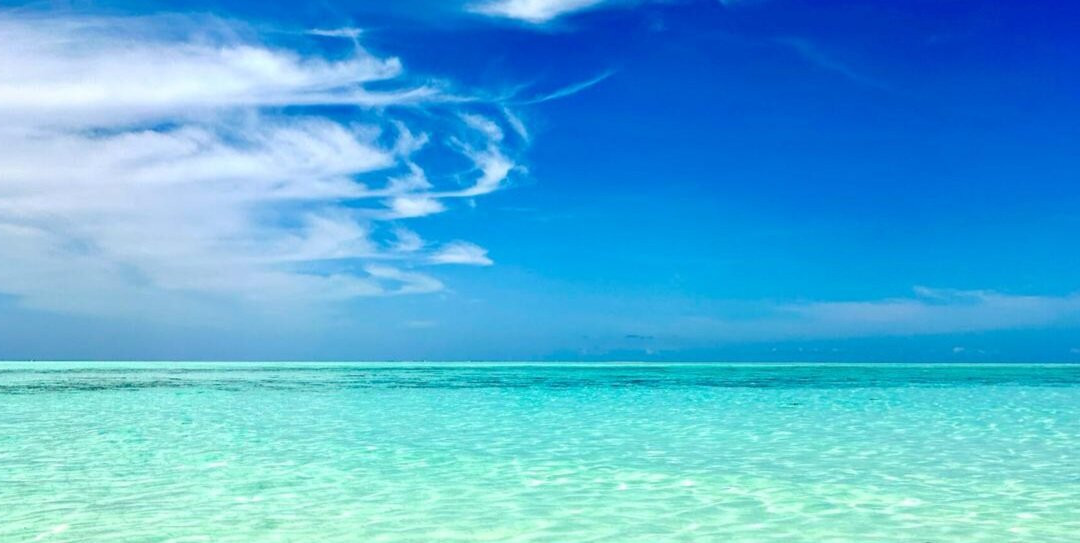 Zanzibar safari and Excursion Tours-石头城必去景点