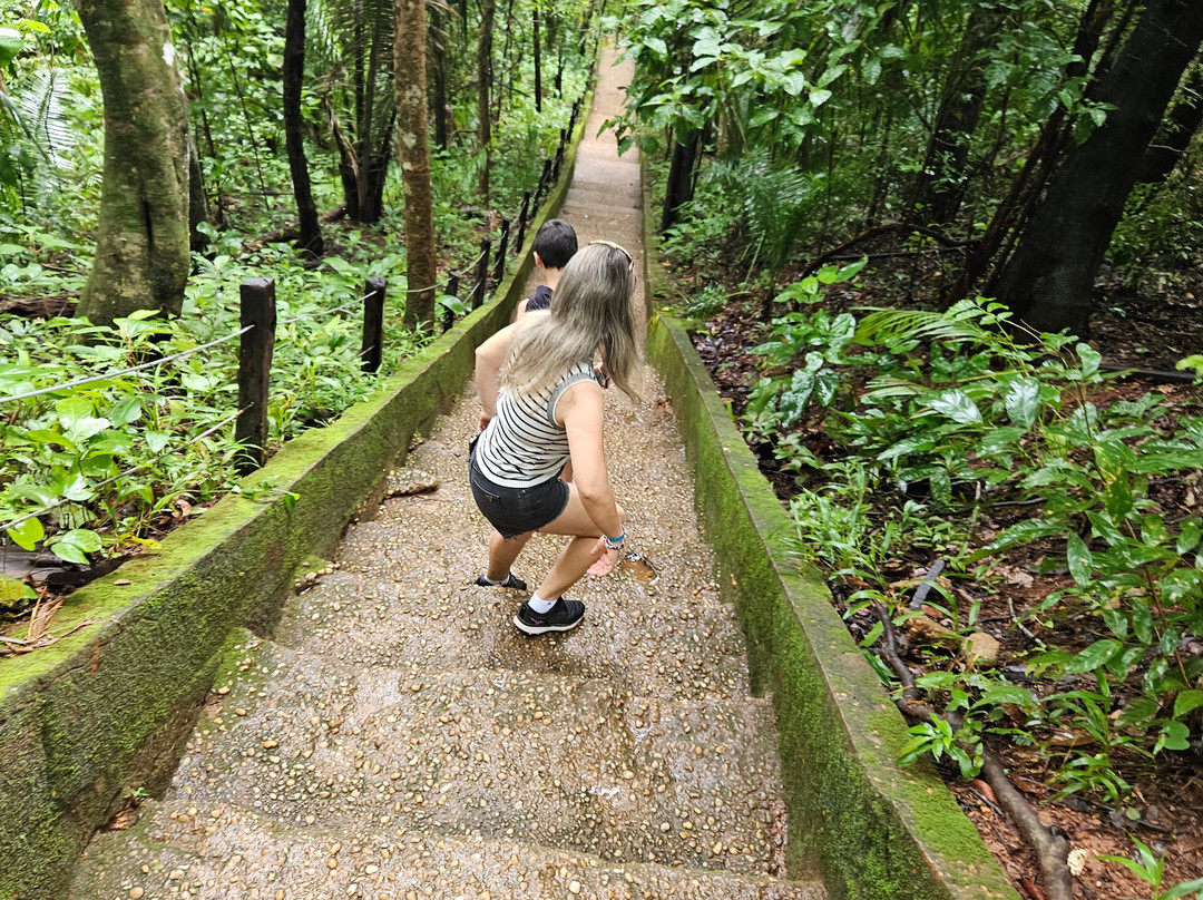 Escorrega Macaco Waterfall-Palmas必去景点