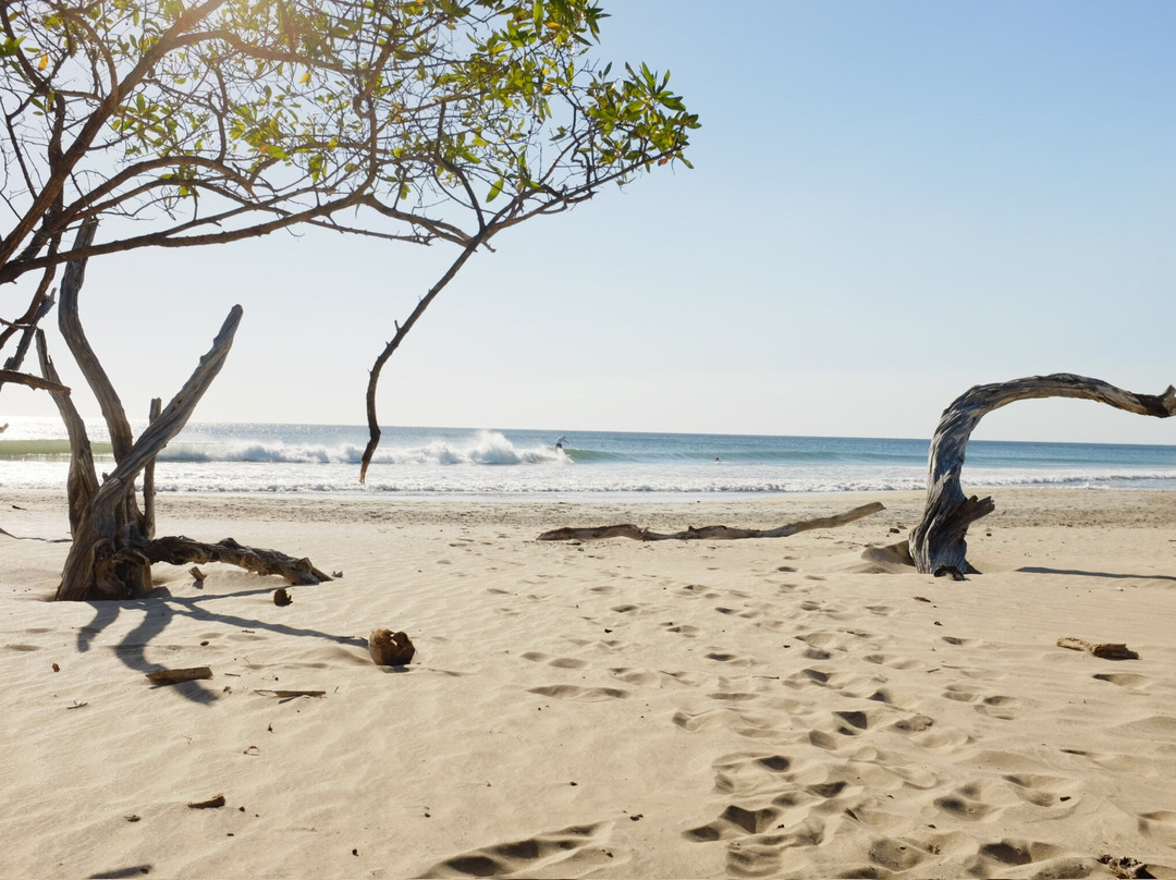 Playa Negra Surf Lodge主图