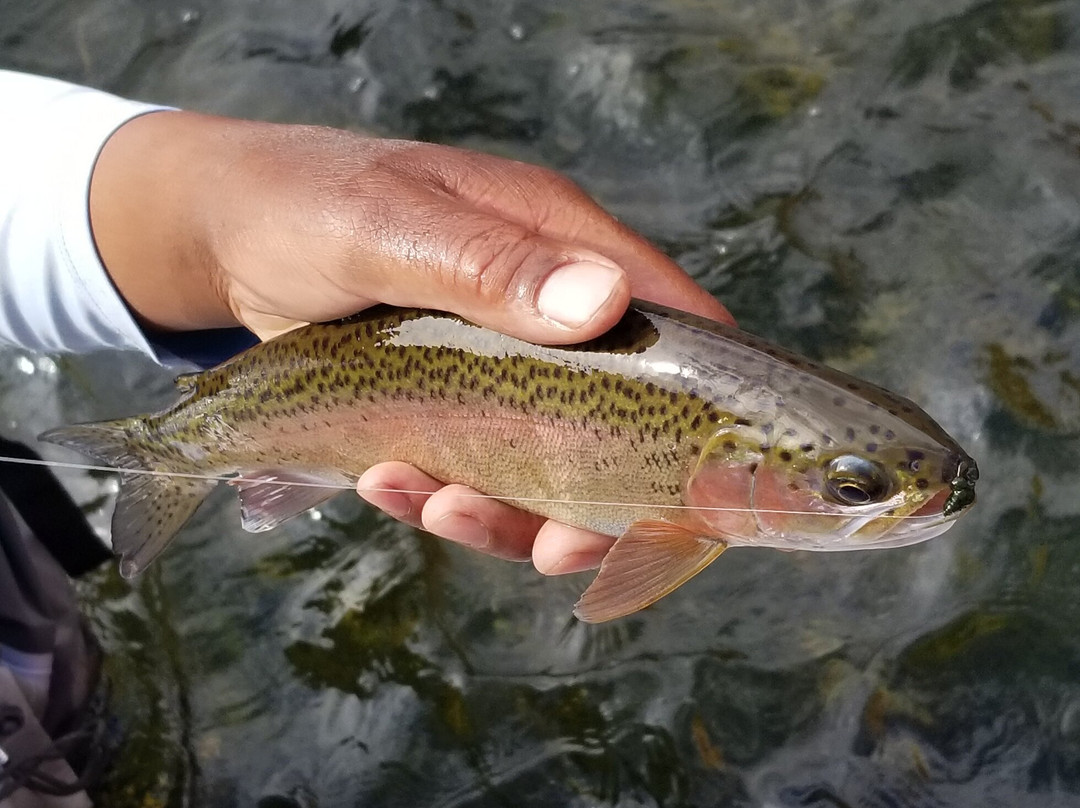 Lees Ferry Anglers-大理石峡谷必去景点