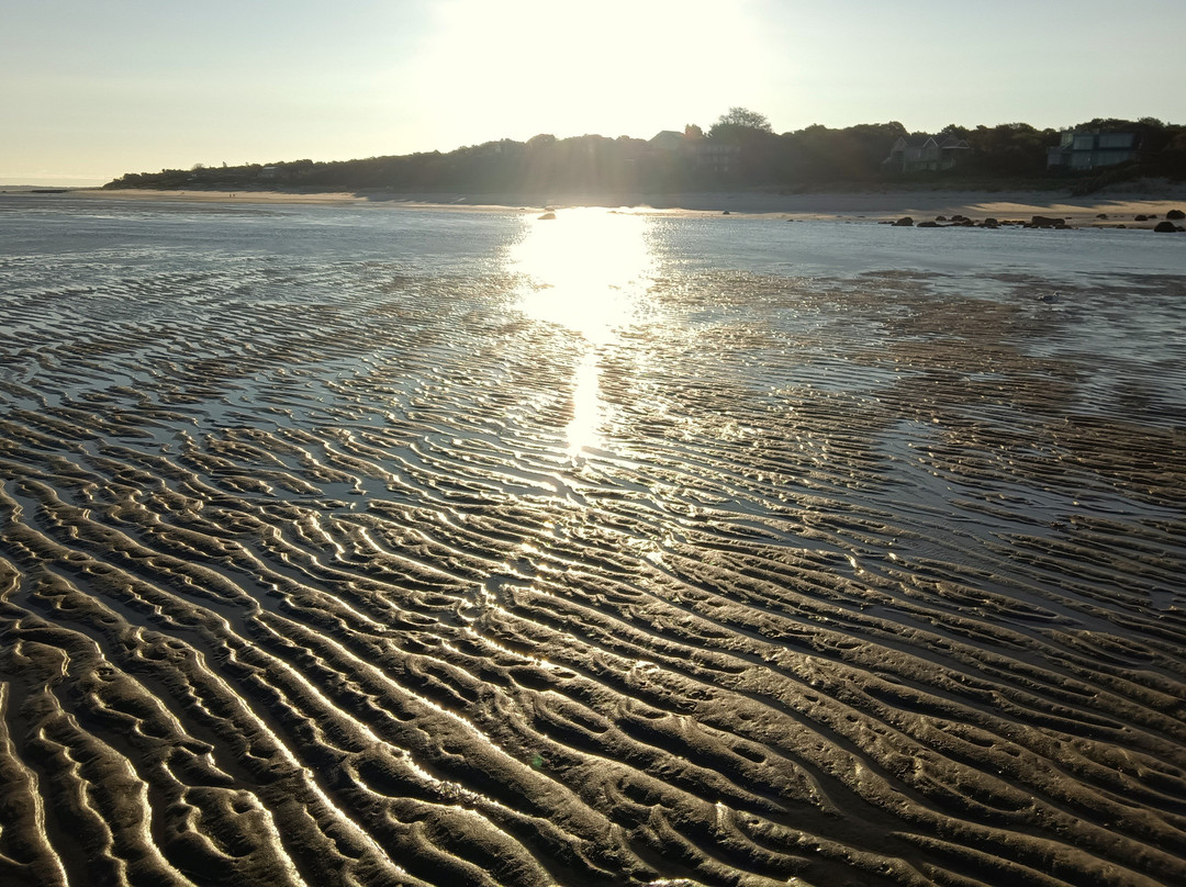 Travelodge by Wyndham Cape Cod Area主图