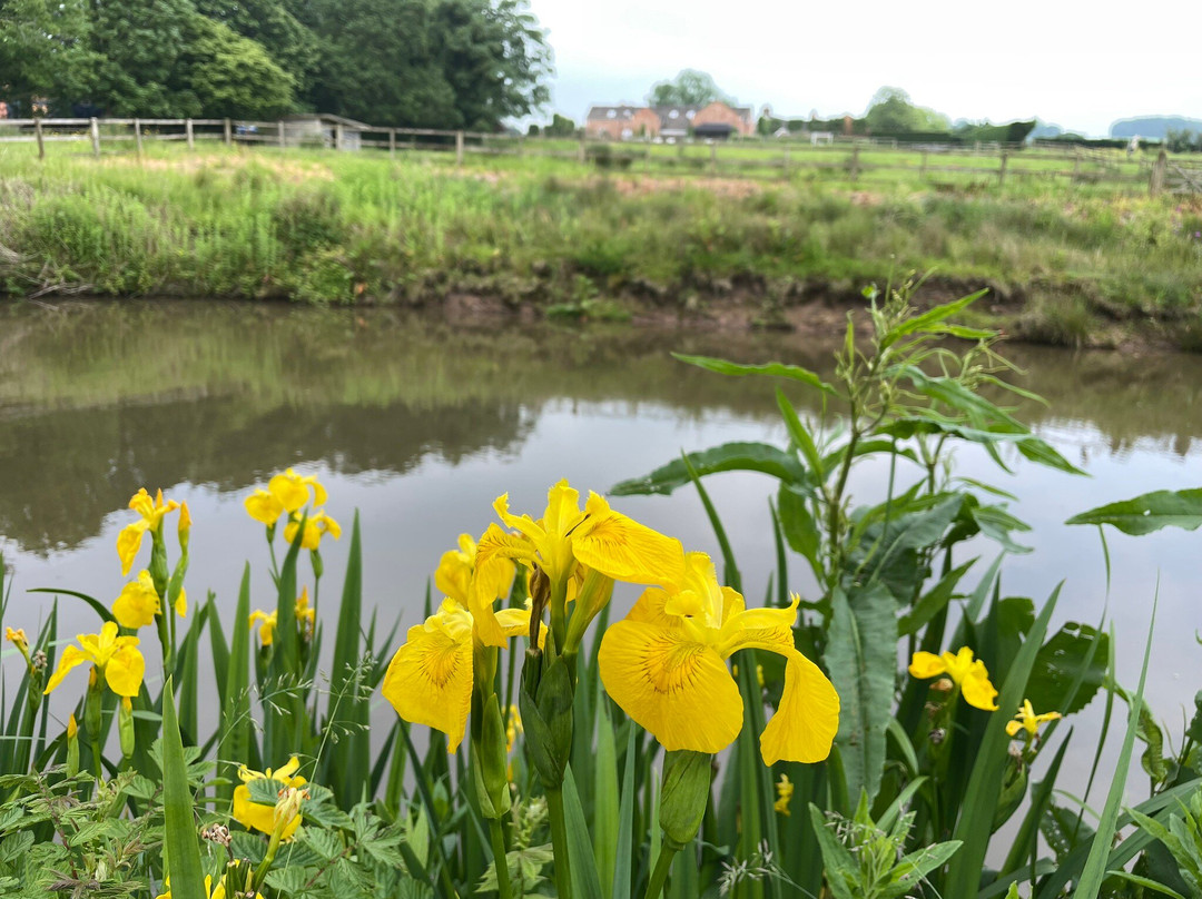Bollington Boats and Bikes-Bollington必去景点