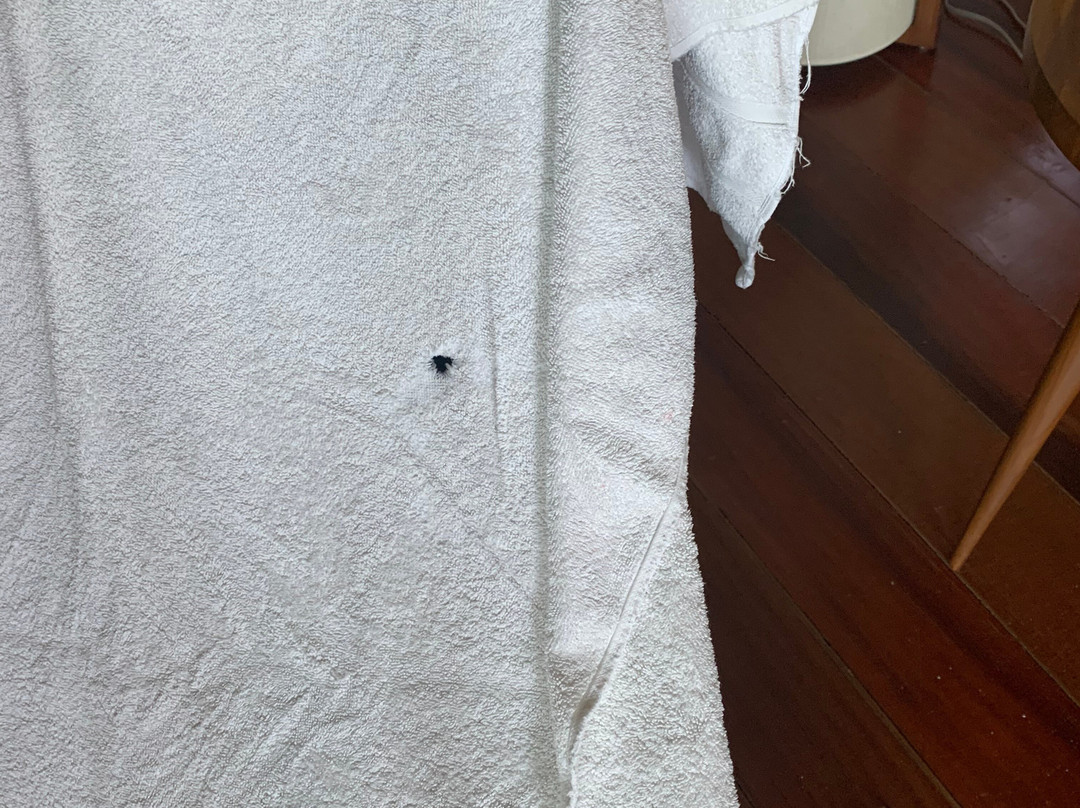 La Coralina Island House主图