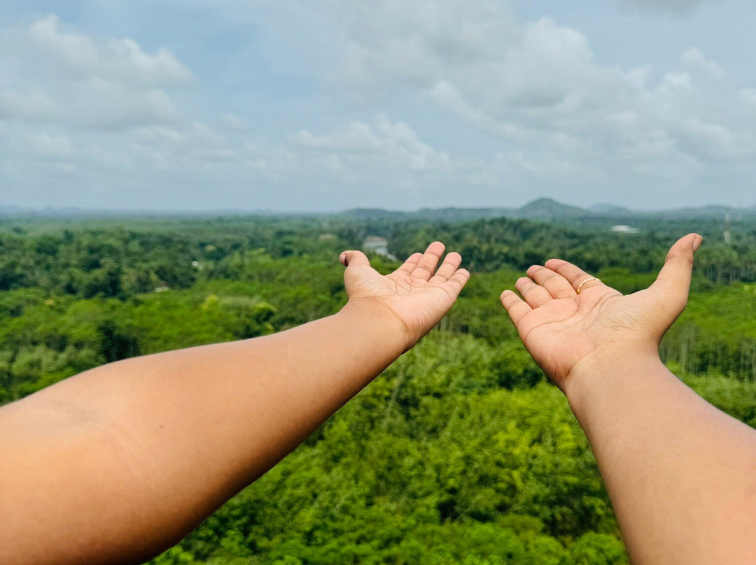 CHE Adventure Park-Hanwella必去景点