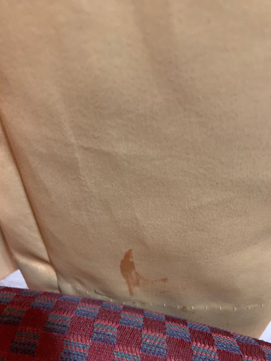 西罗亚斯普林斯速8酒店-客卧