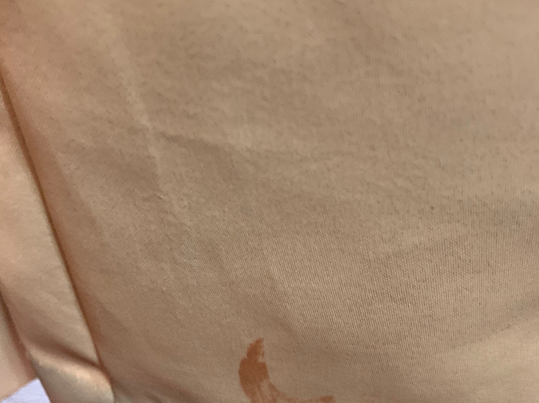 Super 8 by Wyndham Siloam Springs主图