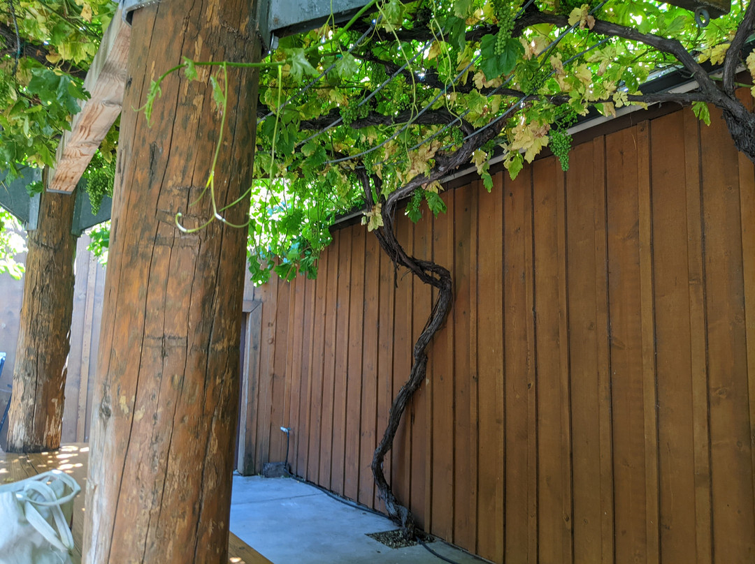 Cascade Cliffs Vineyard & Winery景点图片