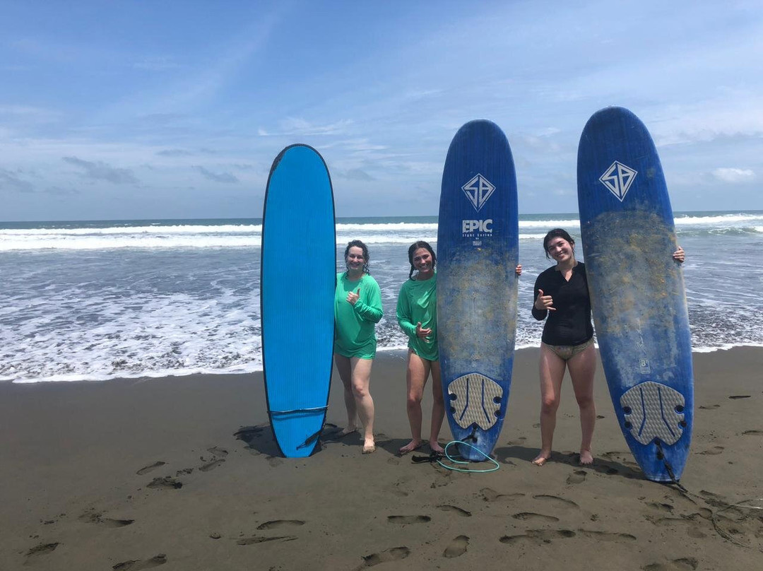 Matapalo’s Original Surf School-Savegre必去景点